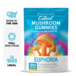 Cutleaf Mushroom Gummies - Mango Gelato flavor_greenrepubliclife.com